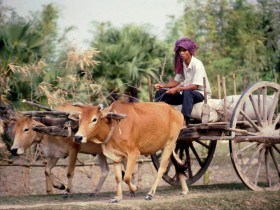 2000 CAM 166 Prey Veng