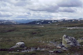 10908 Hardangervidderne