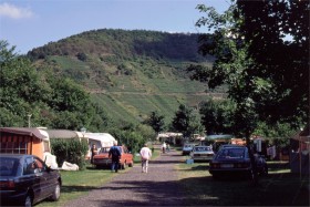 11361 Camping i Mayschoss - Ahrdalen