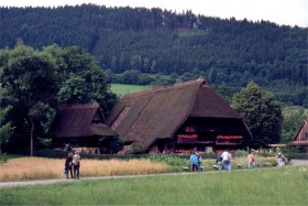 11403 Frilandsmuseum i Gutach