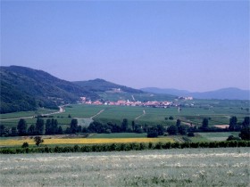 12208 Rheinpfalz