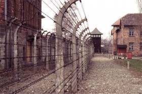 12732 Auschwitz