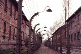 12733 Auschwitz