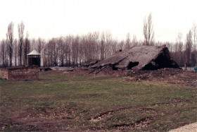 12747 Birkenau