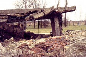 12749 Birkenau