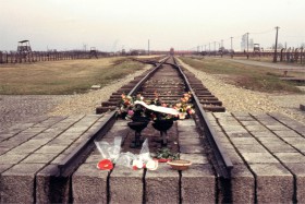 12753 Birkenau