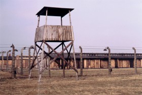 13461 NY Birkenau