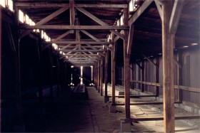 13462 Birkenau