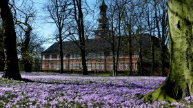 2015-0280 Husum Slotspark krokus