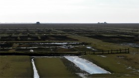 2015-0335 Mod Hamburg Hallig