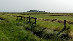 2015-2416 Hallig Hooge