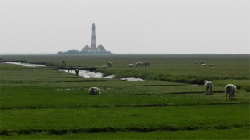 2015-2566 Westerhever forlandet