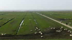 2015-2583 Westerhever forlandet