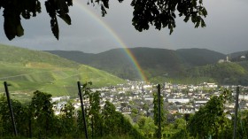 2015 Mosel 48 Bernkasten-Kues