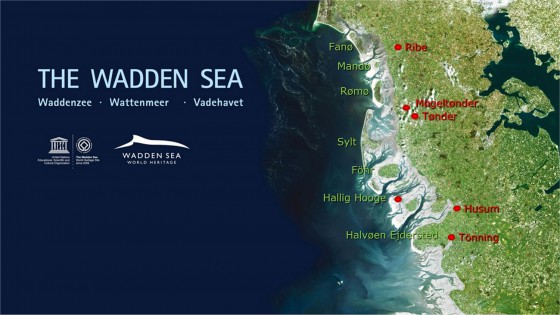 Wadden Sea