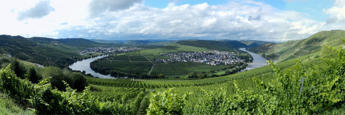 Trittenheim Mosel