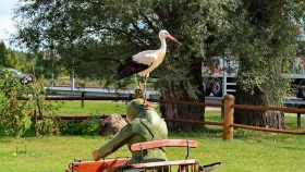 En stork ved den rasteplads, hvor vi spiste frokost