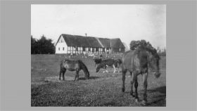 Dalgården fra nordøst 1947