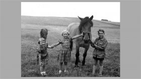 Ellen, Ruth og Thorkild med hesten "Lotte" ca. 1953.